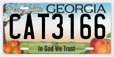 GA license plate CAT3166