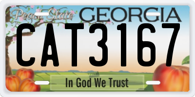 GA license plate CAT3167