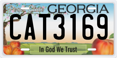 GA license plate CAT3169