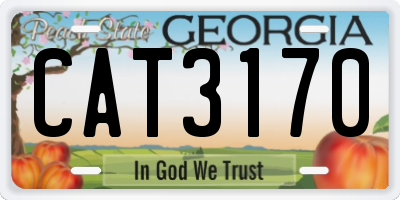 GA license plate CAT3170