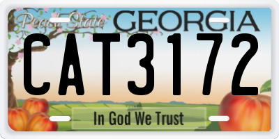 GA license plate CAT3172