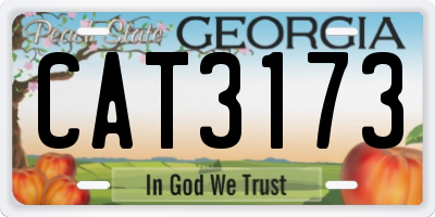 GA license plate CAT3173