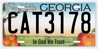 GA license plate CAT3178