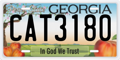 GA license plate CAT3180