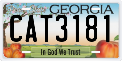 GA license plate CAT3181