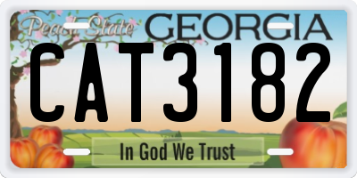 GA license plate CAT3182