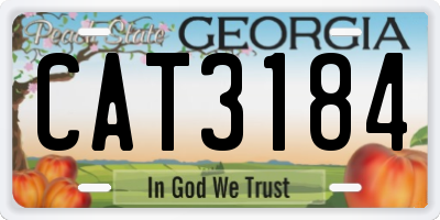 GA license plate CAT3184