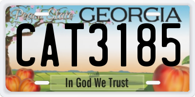 GA license plate CAT3185