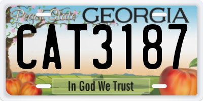 GA license plate CAT3187