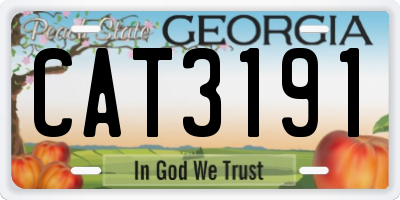 GA license plate CAT3191