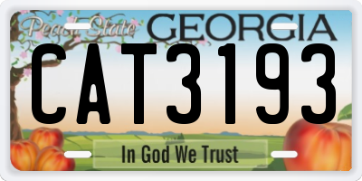 GA license plate CAT3193