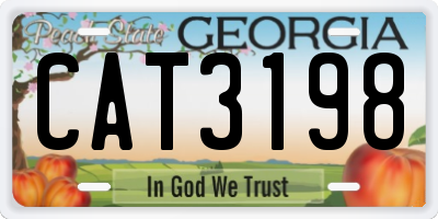 GA license plate CAT3198