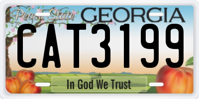 GA license plate CAT3199
