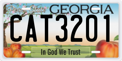 GA license plate CAT3201