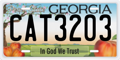 GA license plate CAT3203