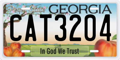 GA license plate CAT3204