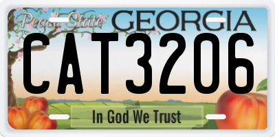 GA license plate CAT3206