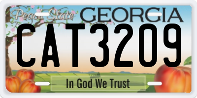 GA license plate CAT3209