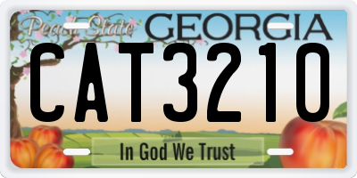 GA license plate CAT3210
