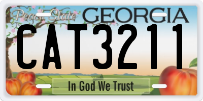 GA license plate CAT3211