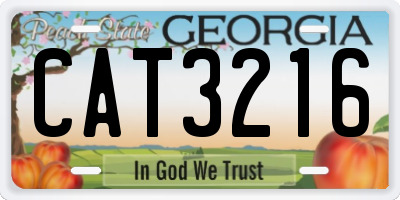 GA license plate CAT3216