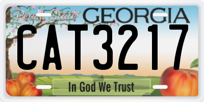 GA license plate CAT3217