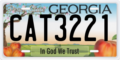 GA license plate CAT3221