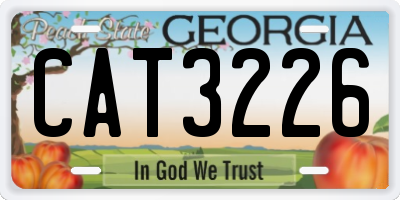 GA license plate CAT3226