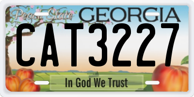 GA license plate CAT3227