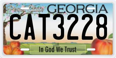 GA license plate CAT3228