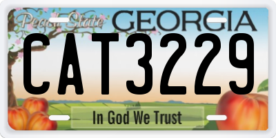 GA license plate CAT3229