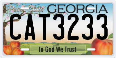 GA license plate CAT3233