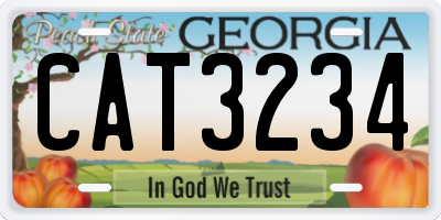GA license plate CAT3234
