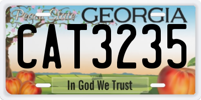 GA license plate CAT3235