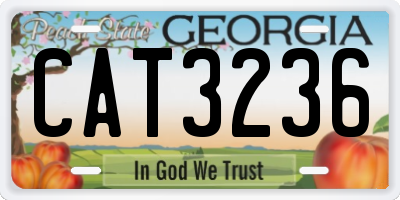 GA license plate CAT3236