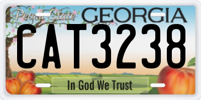 GA license plate CAT3238