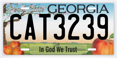 GA license plate CAT3239