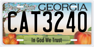 GA license plate CAT3240