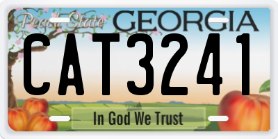 GA license plate CAT3241