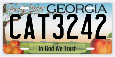 GA license plate CAT3242