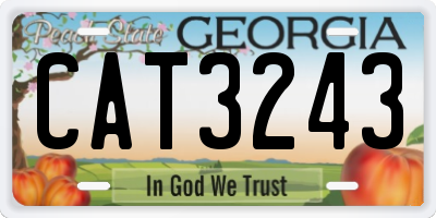 GA license plate CAT3243
