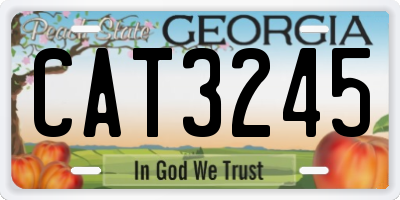 GA license plate CAT3245
