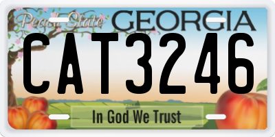 GA license plate CAT3246