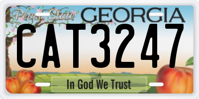 GA license plate CAT3247