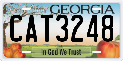 GA license plate CAT3248