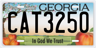 GA license plate CAT3250