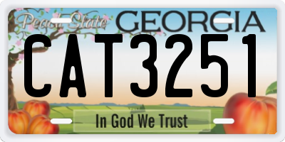 GA license plate CAT3251