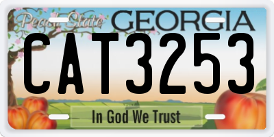 GA license plate CAT3253