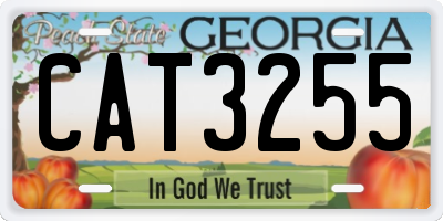 GA license plate CAT3255