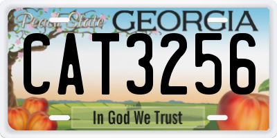 GA license plate CAT3256